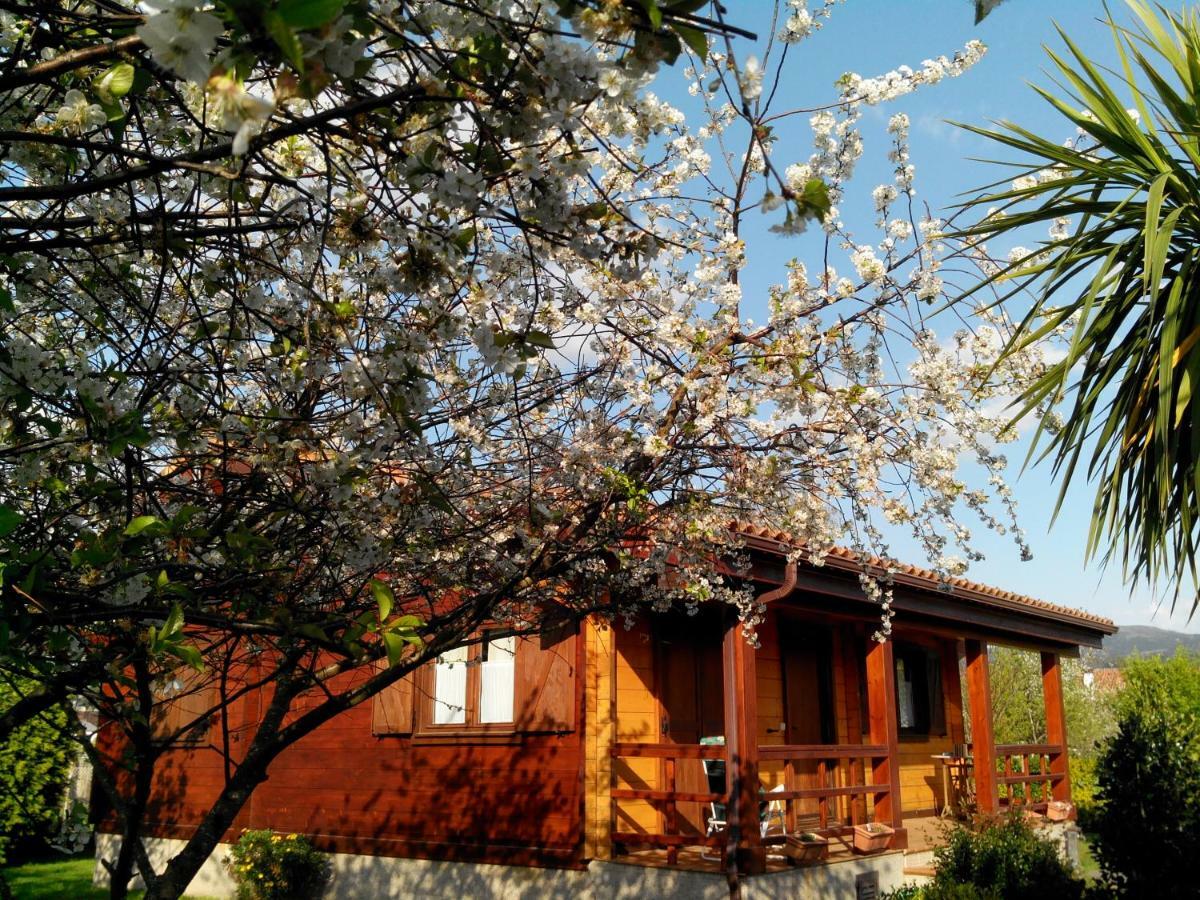 فيلا Ribadumiaفي Mi Cabana المظهر الخارجي الصورة